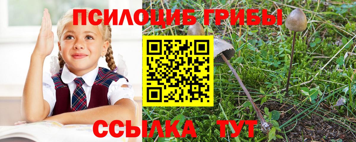 Псилоцибиновые грибы мицелий Чистополь